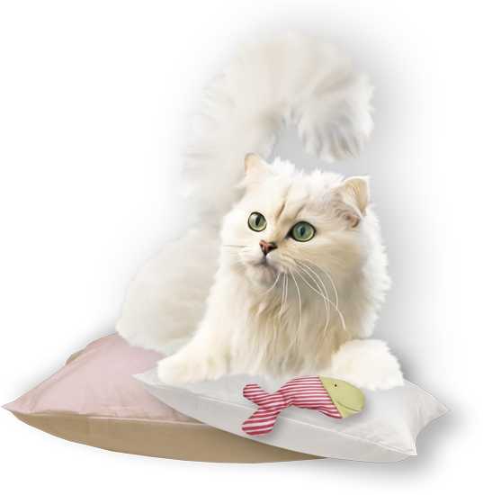 клипарт рисованная белая кошка