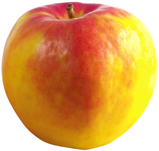 фрукты клипарт яблоко