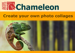 Программа AKVIS Chameleon