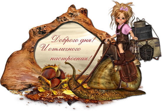 комментарий приветствие пожелание комментарий приветствие пожелание