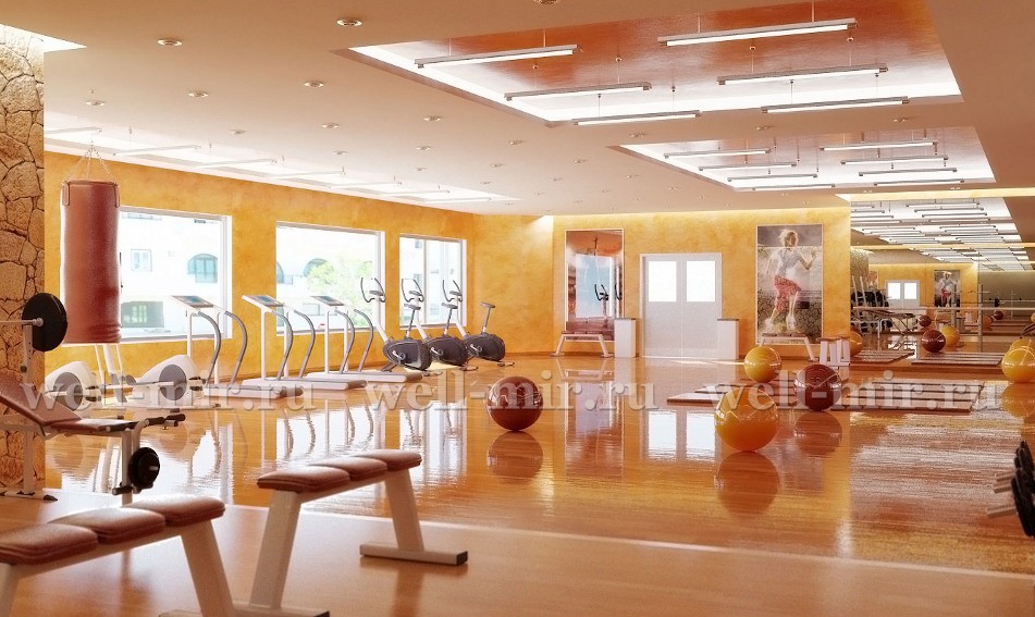 профессиональный дизайн спортивного клуба