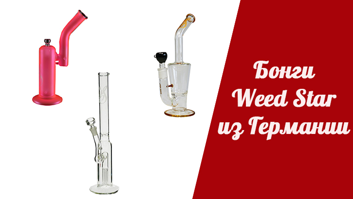 bongy-weed-star-uz-germany