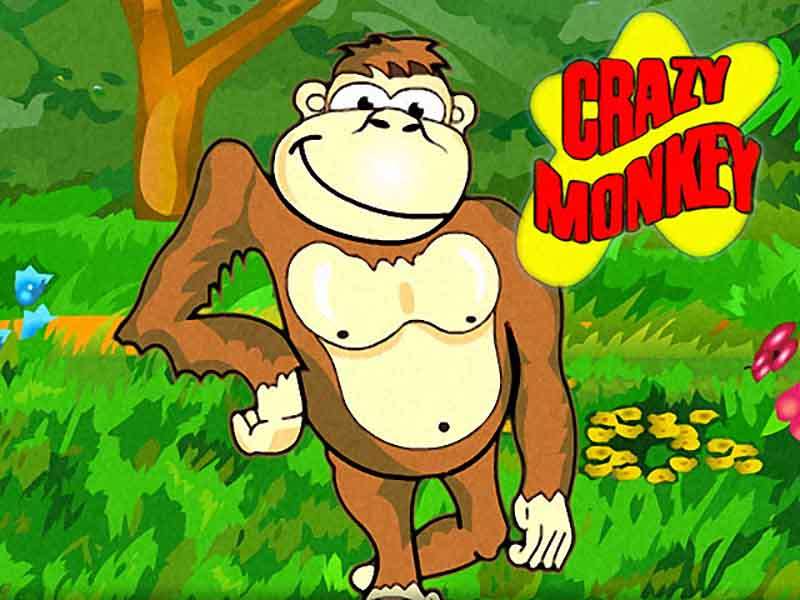 crazy-monkey